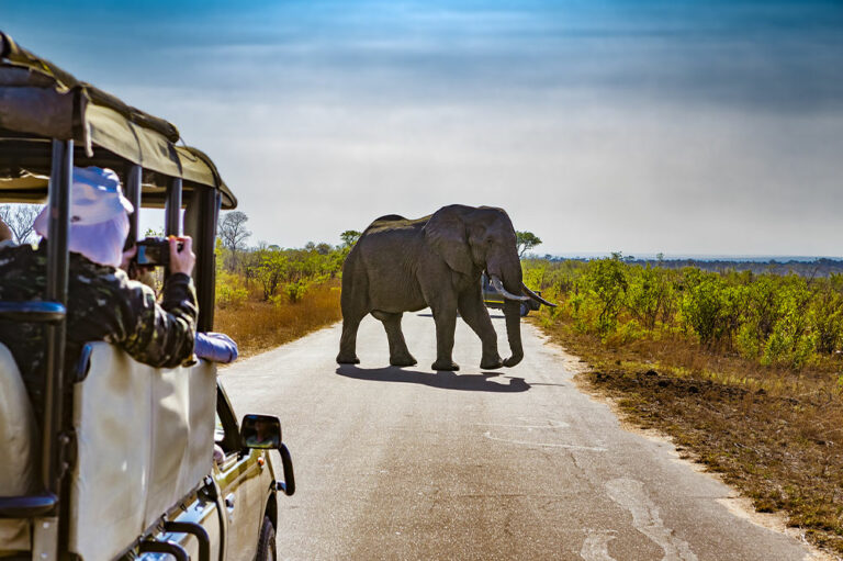 4 common mistakes to avoid on a safari